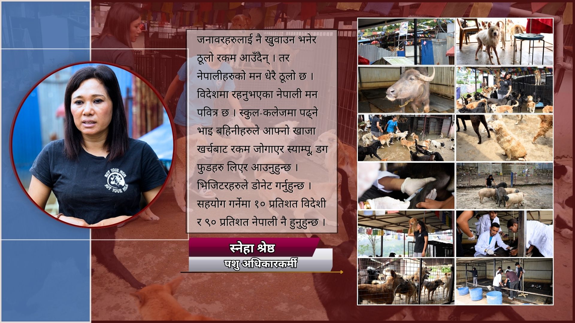 ‘युवा पुस्तामा जनावरप्रति प्रेम बढेको छ ’