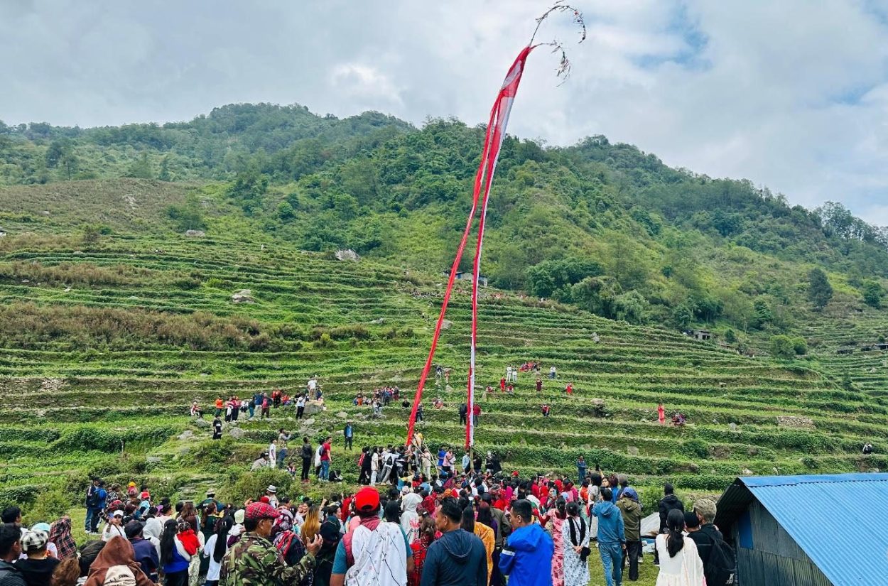 ‘लिङ्गो जुधाउने’ अनौठो परम्परा