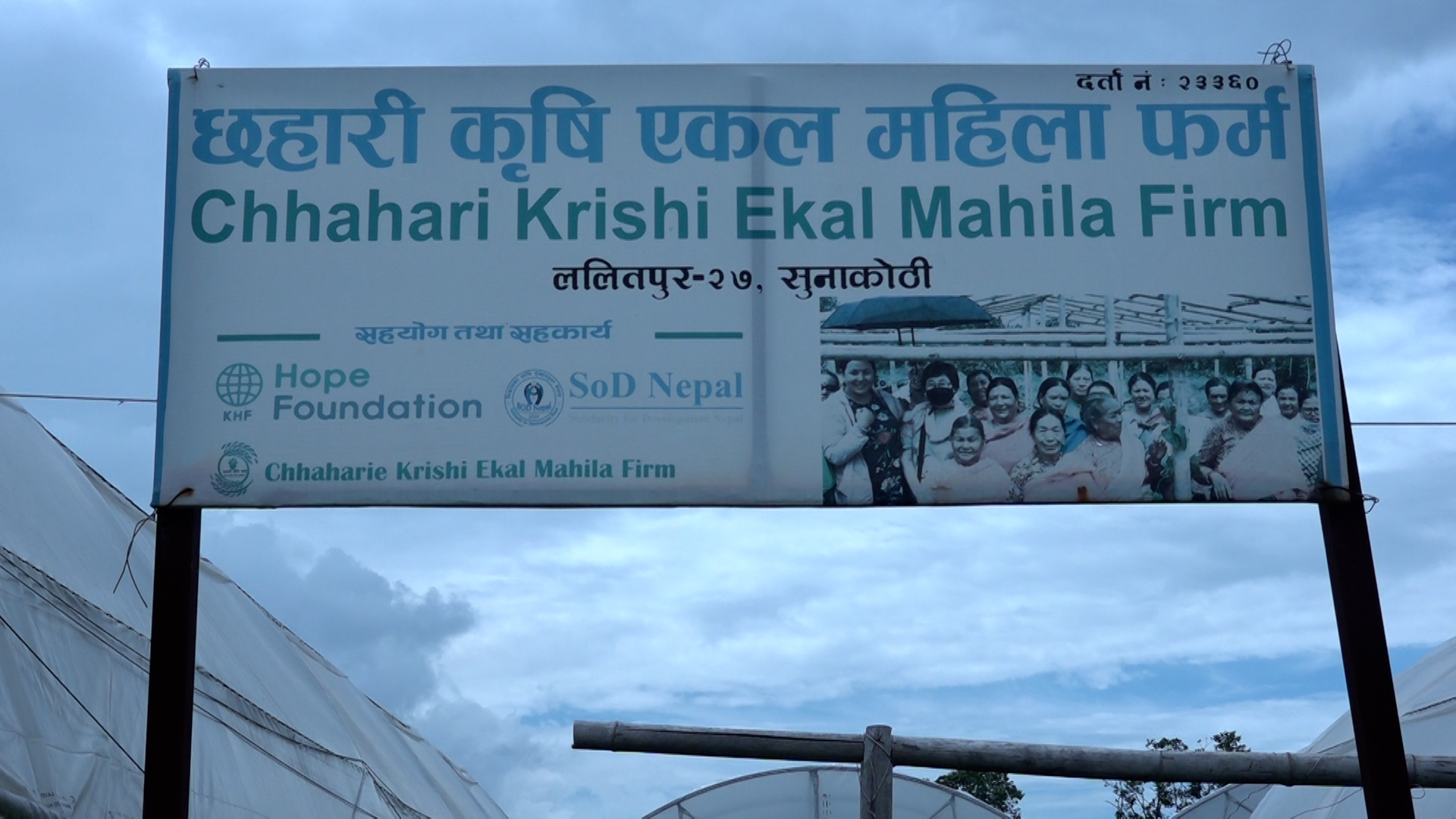 ‘छहारी’मा एकल महिलाको श्रम र पसिना : बजार नपाउँदा सँधैभरी चिन्ता