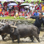 असार १५ मा पाचौं हेमजा हिले महोत्सव हुने