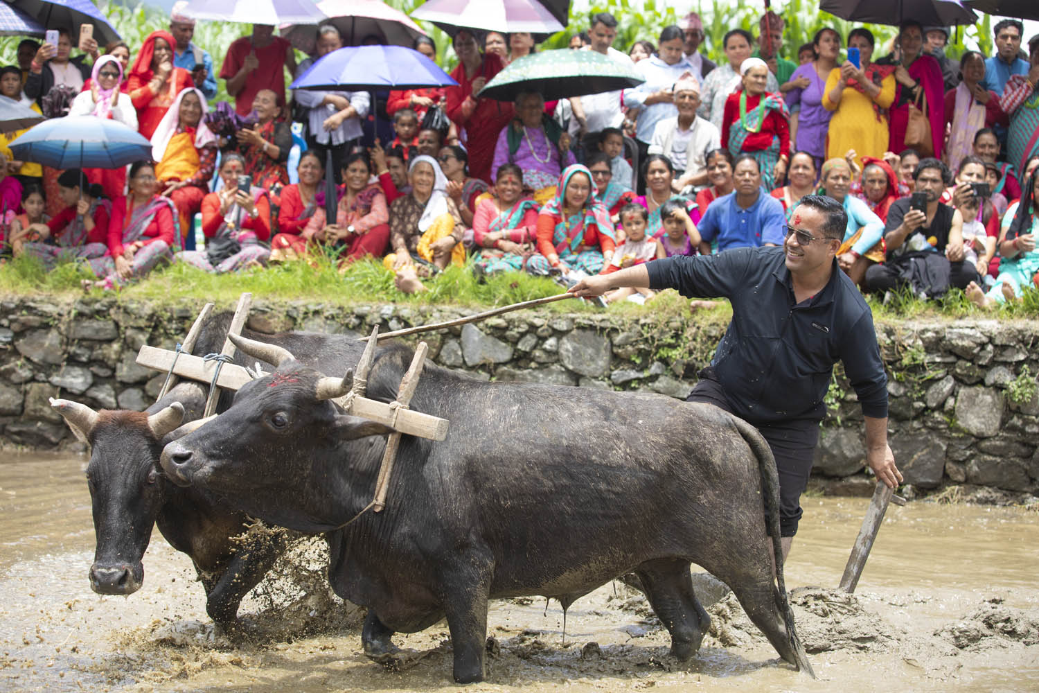असार १५ मा पाचौं हेमजा हिले महोत्सव हुने